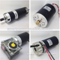 OD63mm high torque Permanent Magnet Brushed Dc Motor 12V, 24V, 36V, 40V, 48V, 60v power 50w, 100w, 200w, 300w